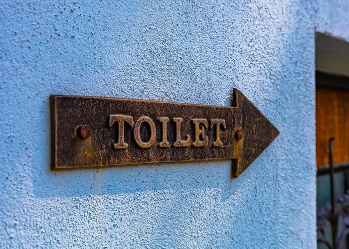 Blacksmith's House - Old Town 度假居 普罗夫迪夫